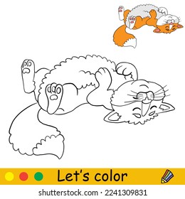 Cute cat lying on his back. Coloring book page with color template for children. Vector cartoon illustration isolated on white background. For coloring book, education, print, game.