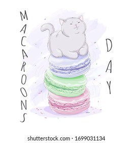 Cute cat lying on macaroons. Hand drawn colorful Vector illustration. Greeting cardcard.