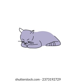 Cute cat lying on white background