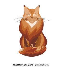 Cute cat Maine Coon isolated on color background. Funny animals. Card, postcards for kids. Flat vector illustration for banner, card, wallpaper, poster.