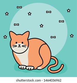 cute cat mascot adorable character