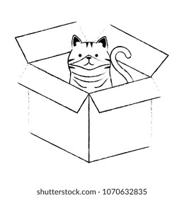 cute cat mascot in carton box character