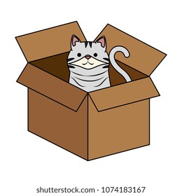cute cat mascot in carton box character