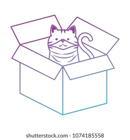 cute cat mascot in carton box character