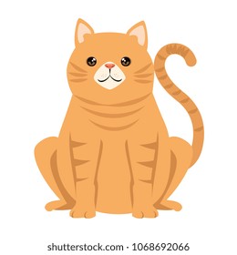 cute cat mascot character