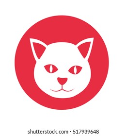 cute cat mascot isolated icon vector illustration design