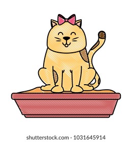 cute cat mascot with sand box