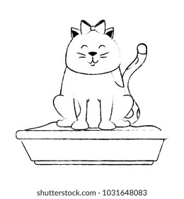 cute cat mascot with sand box