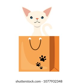 cute cat mascot in shopping bag character