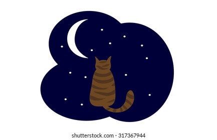 Cute cat midnight