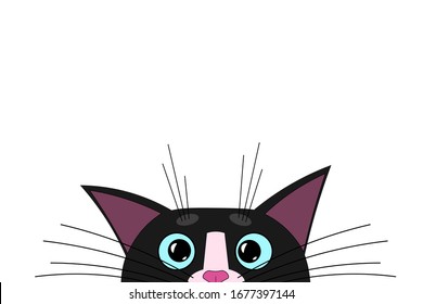 Cute cat muzzle, face, looks and peeks out frightened around the corner, edge. Cat with big blue eyes, long mustache and sharp ears. Blank template for design, decoration. White isolated background.
