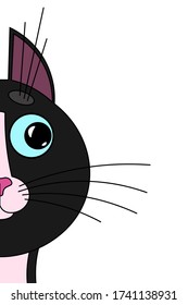 Cute cat muzzle, face, looks and peeks out frightened around the corner, edge. Cat with big blue eyes, long mustache and sharp ears. Blank template for design, decoration. White isolated background.