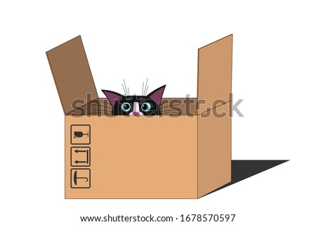 Cute cat muzzle, face, looks and peeks out frightened of the box. Cat with big blue eyes, long mustache and sharp ears. Blank template for design, decoration. White isolated background.