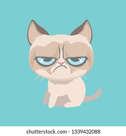 Cute cat on pastel background. 