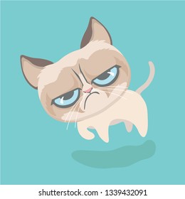 Cute cat on pastel background. 