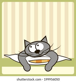 Cute cat on the pillow