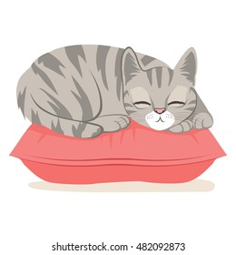 Cute cat on a pink pillow sleeping happy having sweet dreams