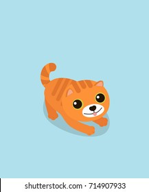 A cute cat on sky blue background