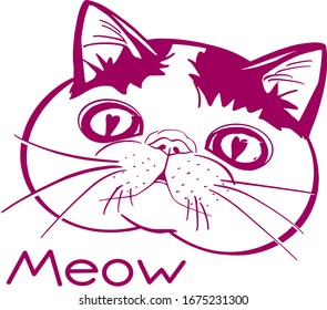 Cute cat on a transparent background and the inscription meow