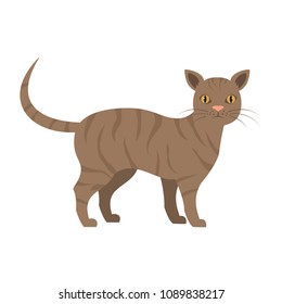 Cute cat on white background. Vector illustration.