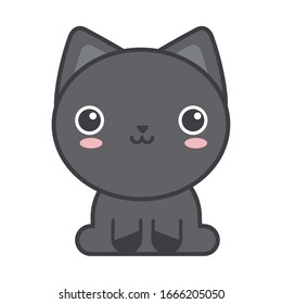 cute cat on white background, feline domestic vector illustration design