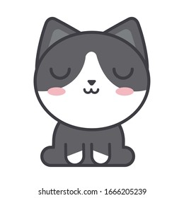 cute cat on white background, feline domestic vector illustration design
