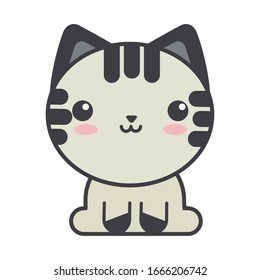 cute cat on white background, feline domestic vector illustration design