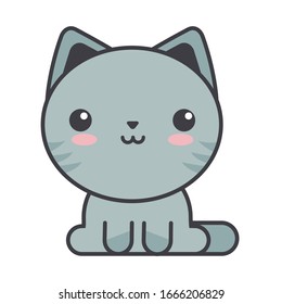 cute cat on white background, feline domestic vector illustration design
