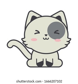 cute cat on white background, feline domestic vector illustration design