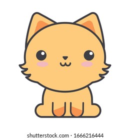 cute cat on white background, feline domestic vector illustration design