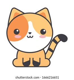 cute cat on white background, feline domestic vector illustration design