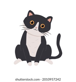 Cute cat on a white background. Can be used as a print on children's clothing, greeting cards, invitations to children's parties, room poster.