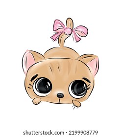 cute cat on white background illustration
