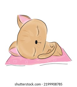 süße Katze auf weißem Hintergrund, Vektorgrafik