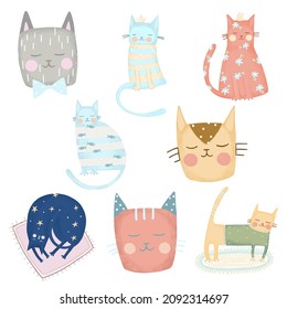Cute cat on white  isolated background