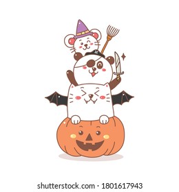 cute cat panda and rat on the pumpkin cartoon for Halloween day.