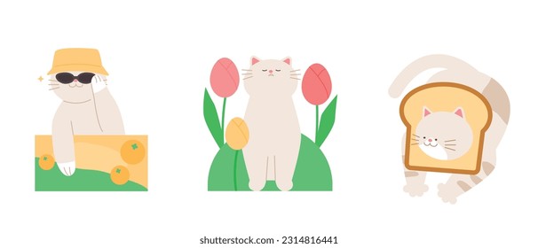 Cute cat  Paper boxes  flowers  bread    cats 