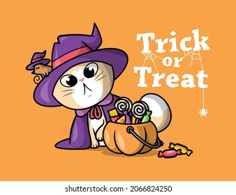 A CUTE CAT IS  PEEKING FOR A BUCKET OF CANDY WITH A MOUSE. HALLOWEEN BACKGROUND