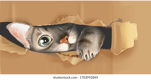 Cute Cat Peeking Through Cardboard Illustration