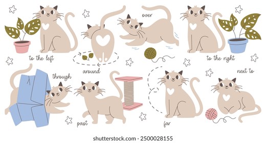 Cute cat pet animal character demonstrating prepositions to different objects design for preschool education game process. English grammar studying and language vocabulary learning vector illustration