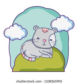 cute cat pet animal in the landscape