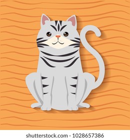 cute cat pet friendly
