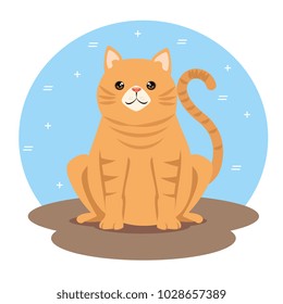 cute cat pet friendly