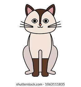 cute cat pet friendly