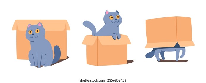 Cute cat pet playing with box set. Funny kitten animal having fun sitting near cardboard box, walking under, peeping out of it. Playful purebred domestic mammal character flat vector illustration