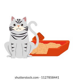 cute cat pet with sand box character