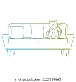 cute cat pet in the sofa character