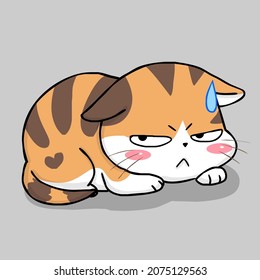 cute cat pictures for general work
