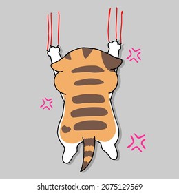 cute cat pictures for general work