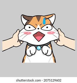 imágenes de gatos lindos para el trabajo general